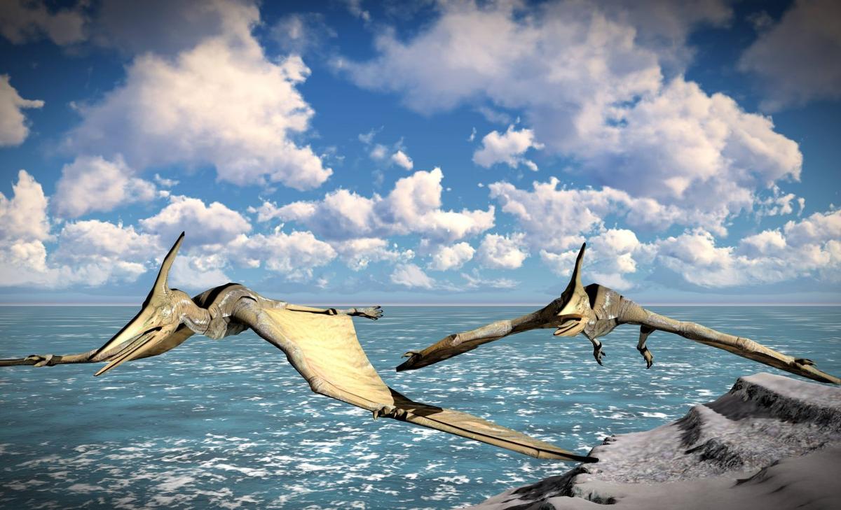 Chinese pterodactyl remains found far away in the UK