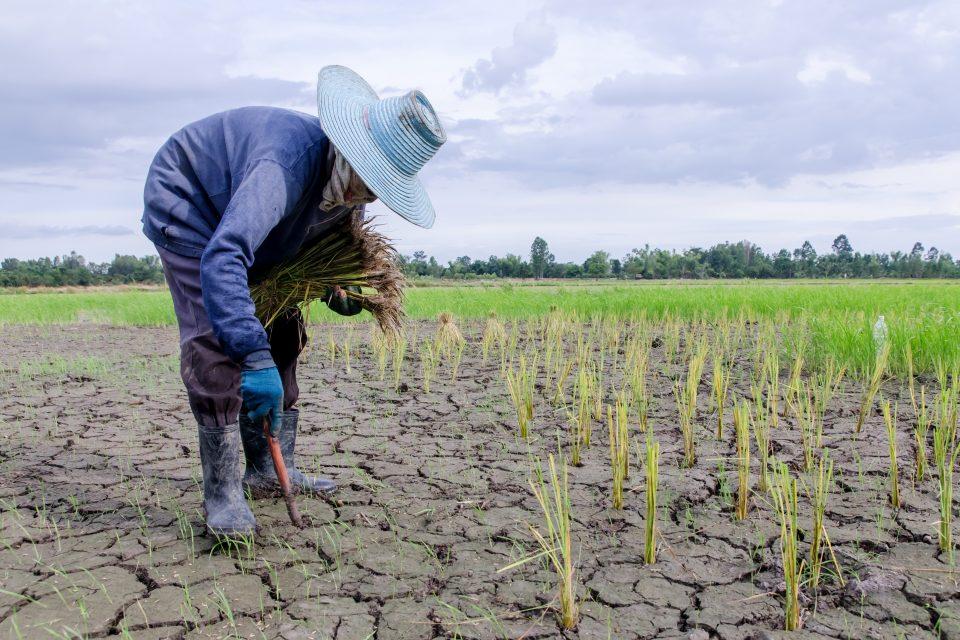Latest climate models show more intense droughts ahead