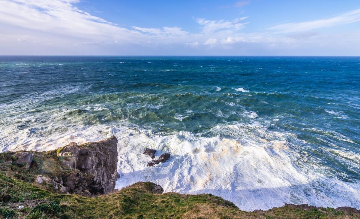 Climate change is reshaping marine ecosystems in the Northeast Atlantic