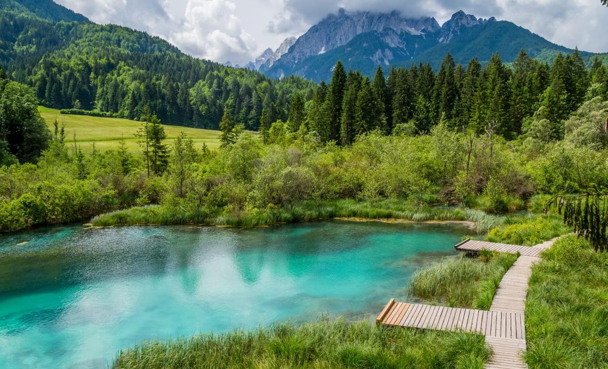 Invasive species lurk just outside of most protected areas