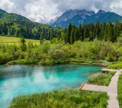 2020/06/shutterstock_1132799006.jpg