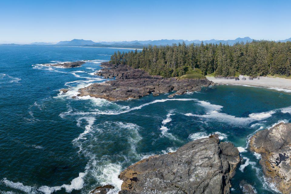 Nutritional quality of zooplankton changes with the season 