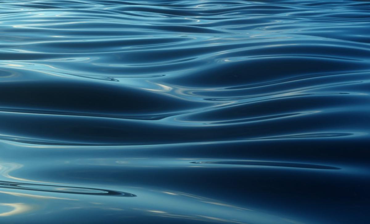 Dead land species changed ocean chemistry during extinction event