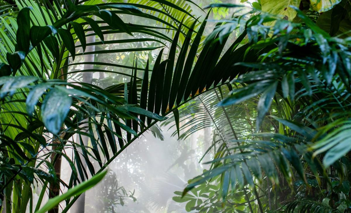 Water vapor has potential as a renewable energy source