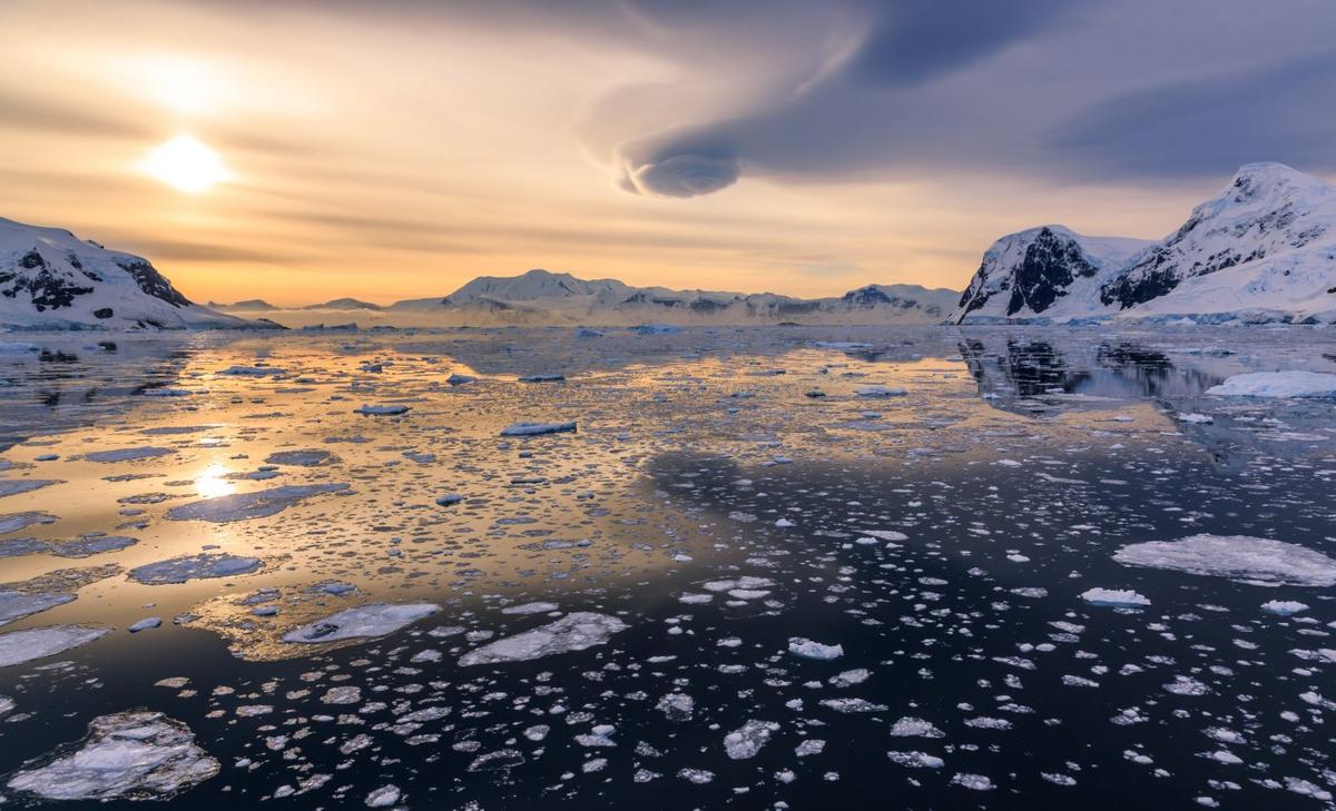 First-ever fossil egg in Antarctica laid by massive reptile