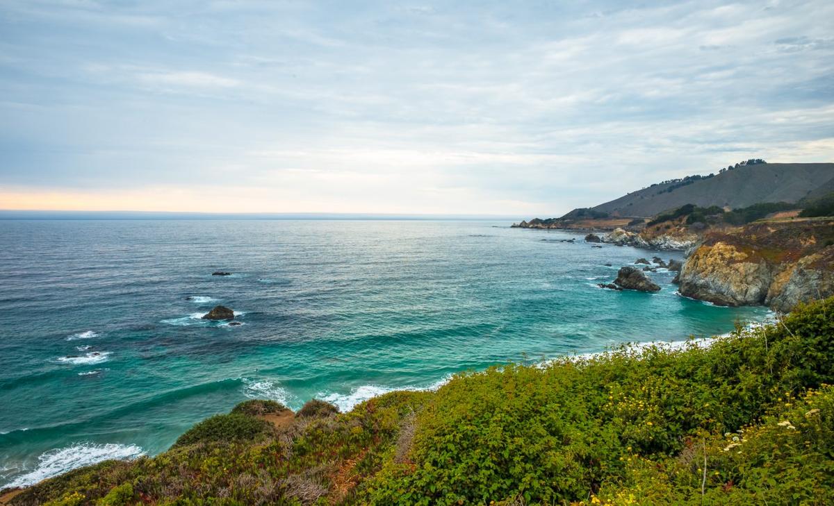 Seaweed gives scientists a history lesson on Monterey Bay