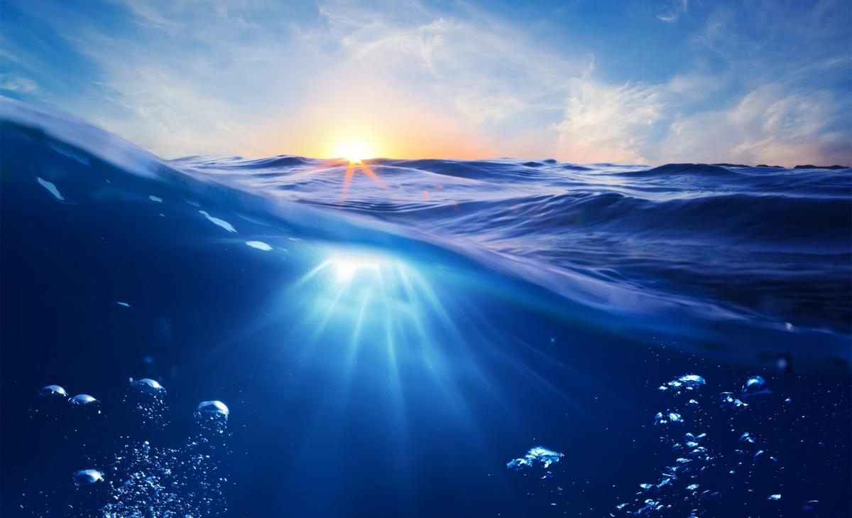 Mercury pollution has reached the deepest ocean trenches