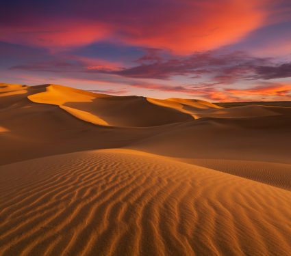 2020/06/shutterstock_768360604.jpg