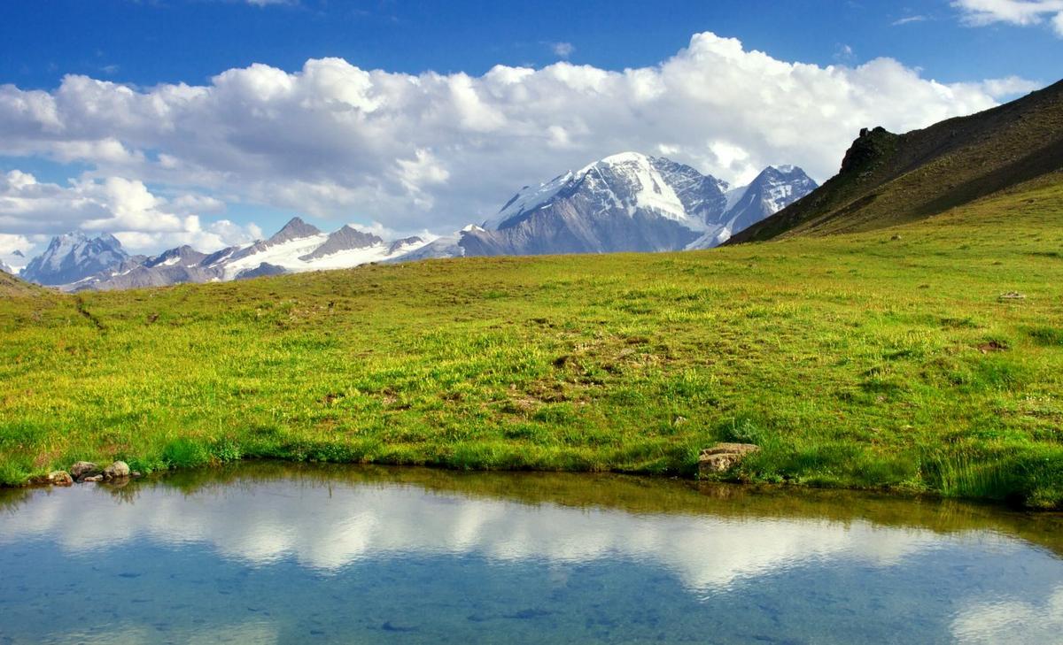 Restoration projects bring mountain meadows back to life