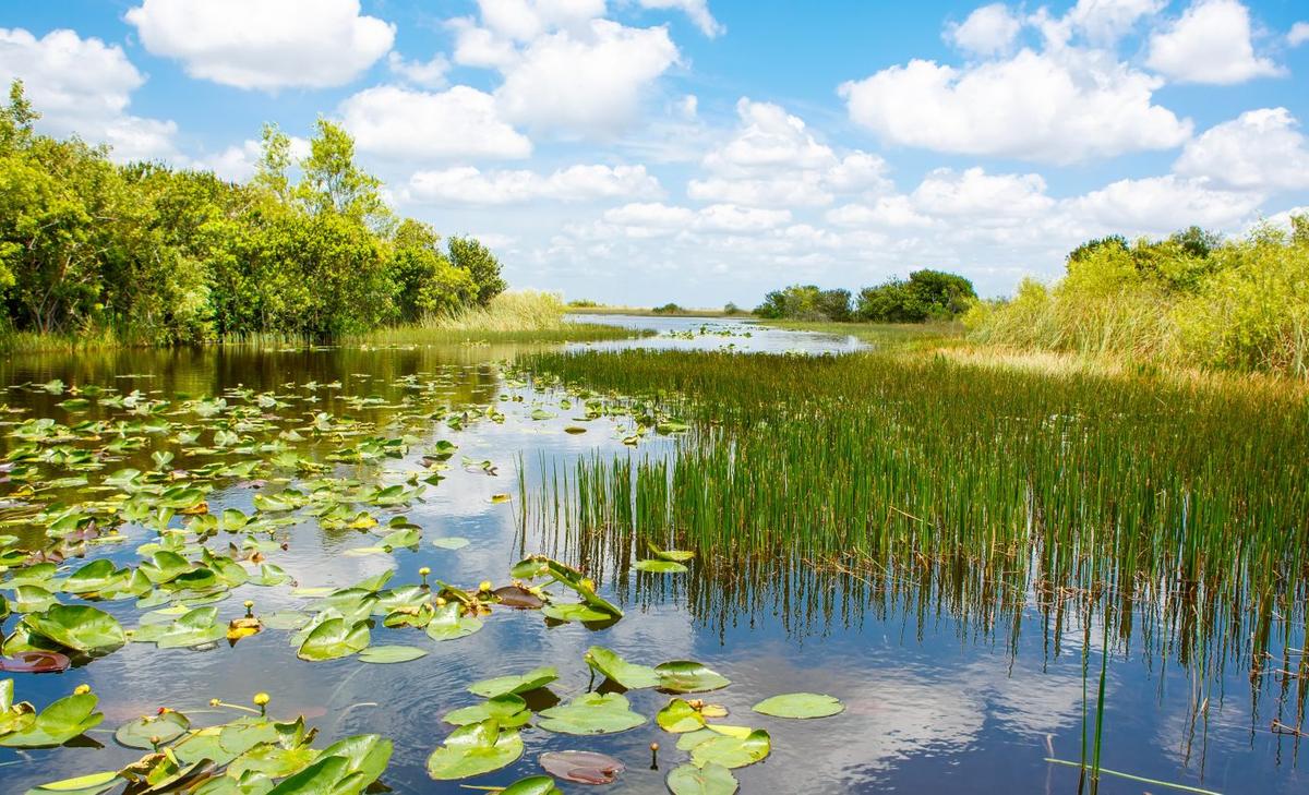 Natural methane emissions rise in warmer temperatures