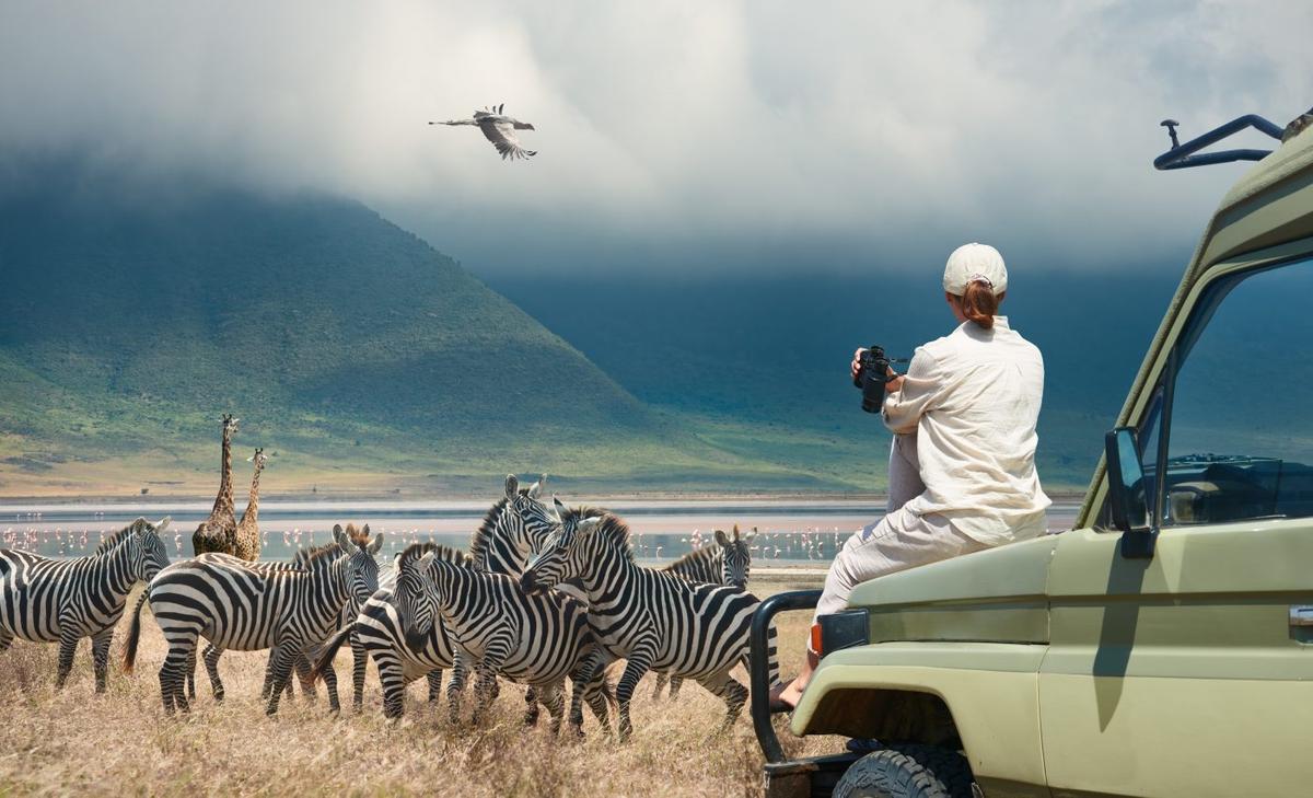 Wildlife tourism has the potential to transform conservation