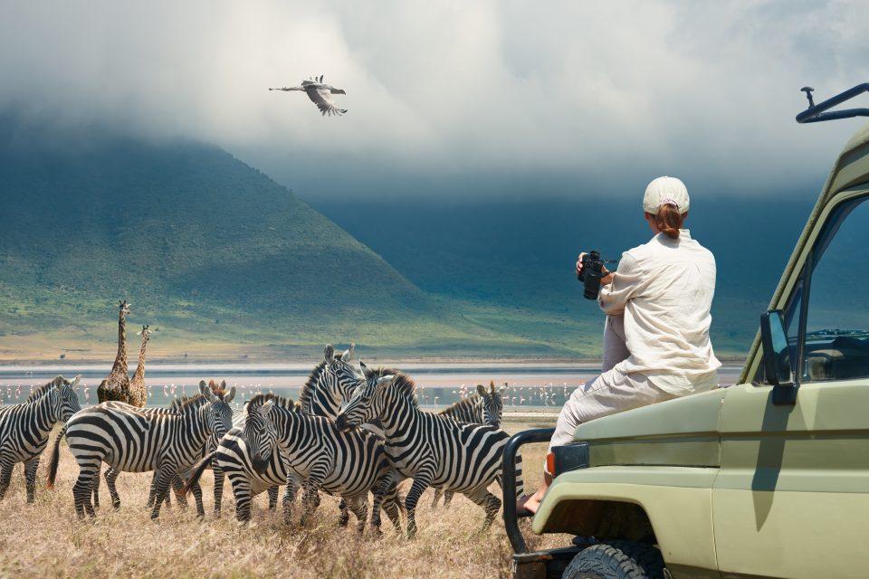 Wildlife tourism has the potential to transform conservation