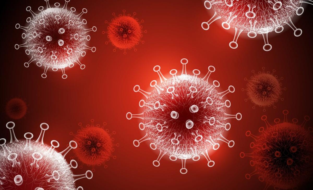 COVID-19 may directly attack heart cells
