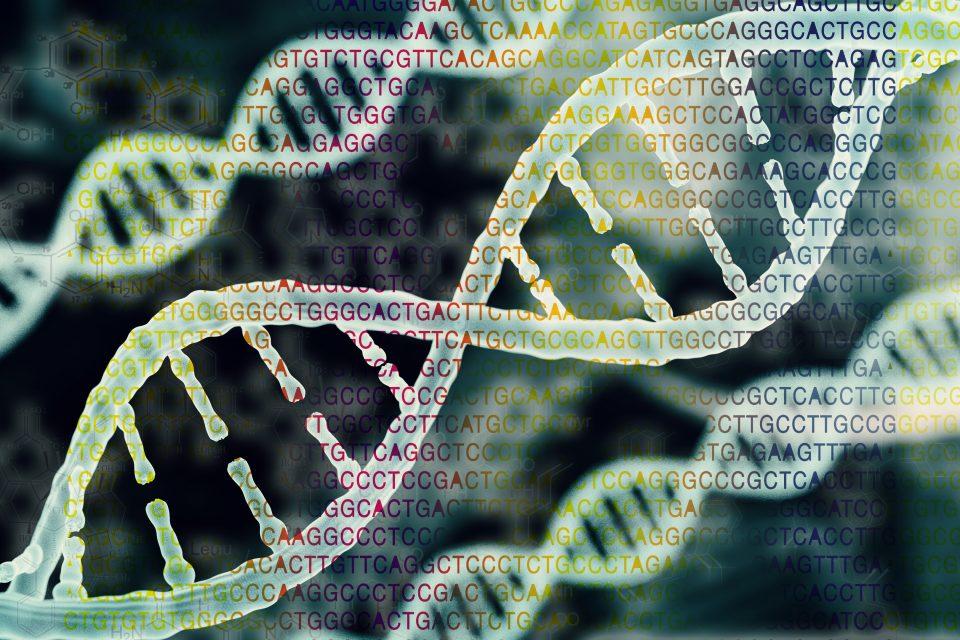 Biomedical research could protect humans from next pandemic