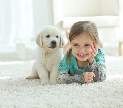 shutterstock_405492349.jpg