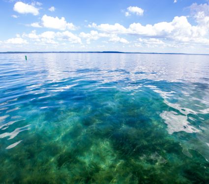 shutterstock_568712446.jpg