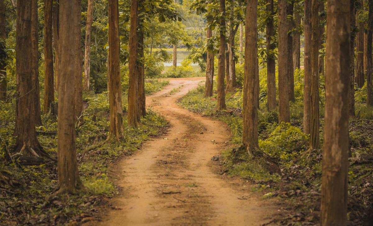 Protected areas generate huge economic gains