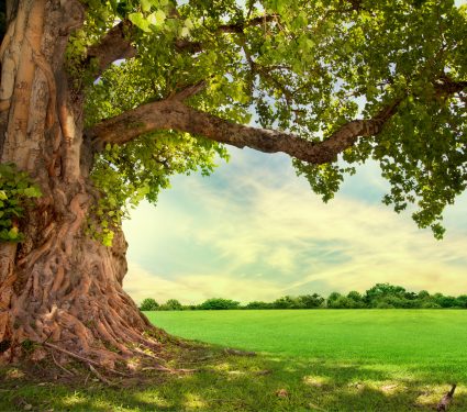 shutterstock_193005704.jpg