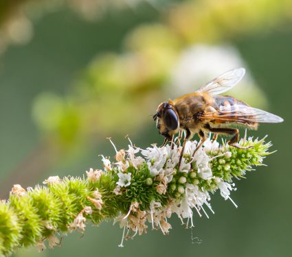 shutterstock_1574704057.jpg