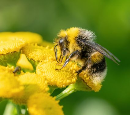 shutterstock_1720459051.jpg