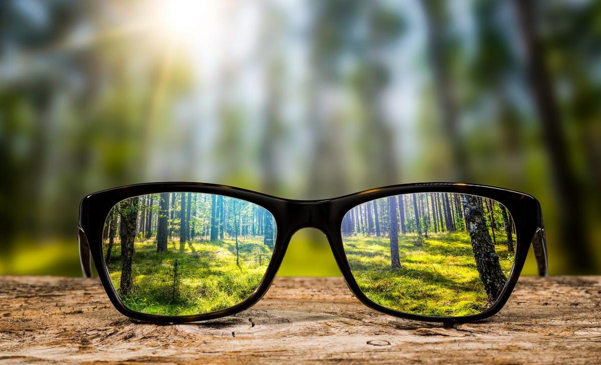 The brain devotes its limited energy to what we focus on