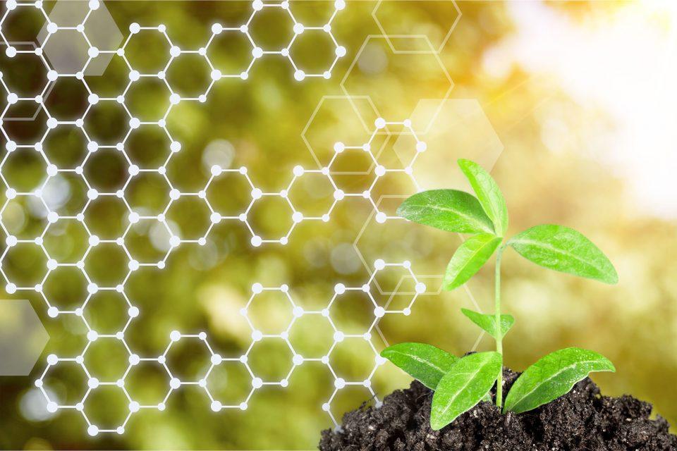 Scientists discover how plants protect themselves from pathogens