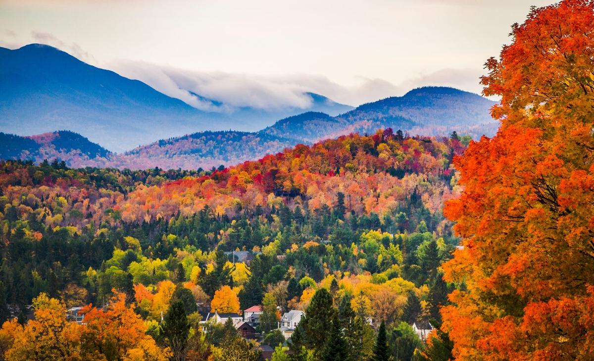 Climate change has boosted the productivity of some forests