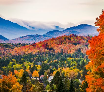 shutterstock_1175586415.jpg