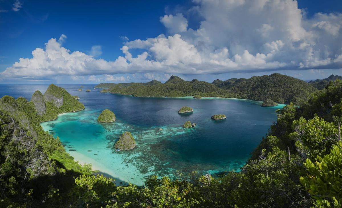 New Guinea is the world's richest island for plants