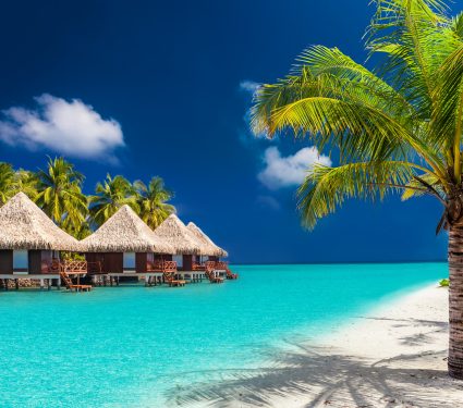 shutterstock_345773612.jpg