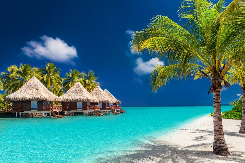 Shocking levels of microplastics found in a tropical paradise
