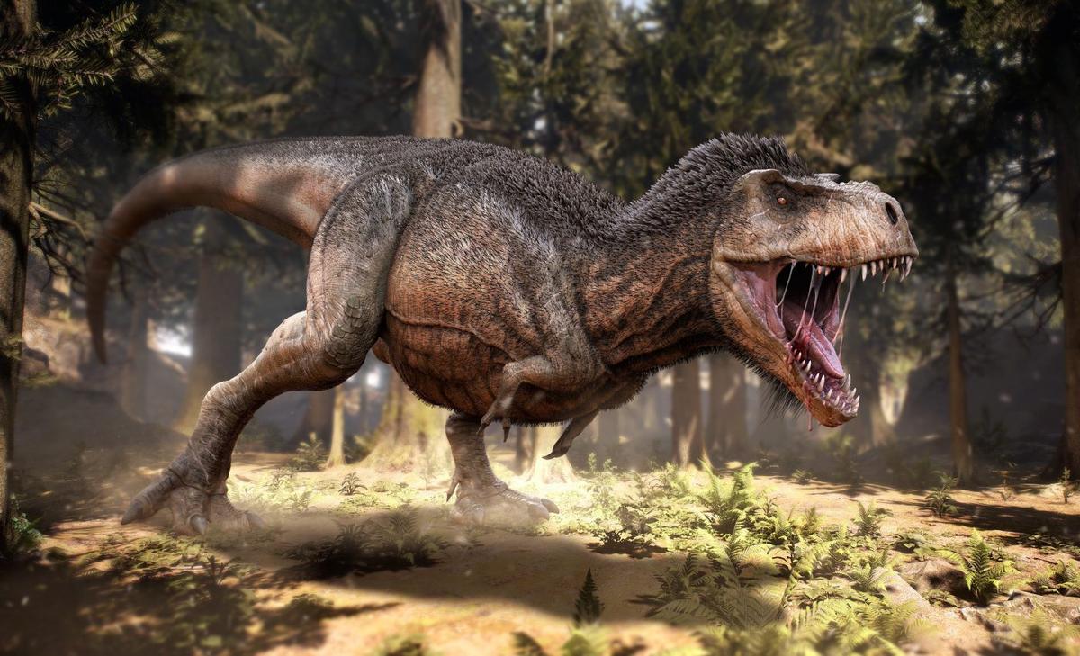 Feathered dinosaurs were flying before birds