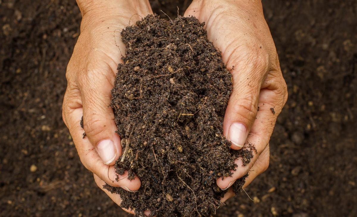 Soil pollution is a source of antibiotic resistance
