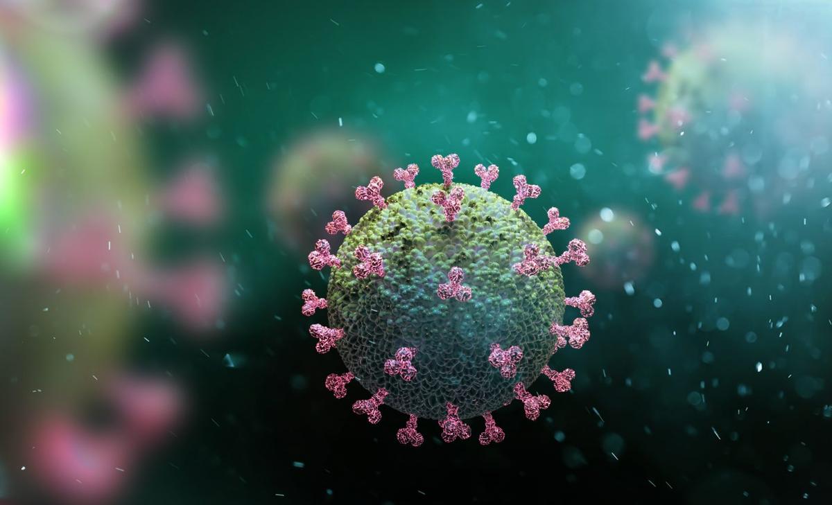 Proteins identified that may help COVID-19 spread in the body   