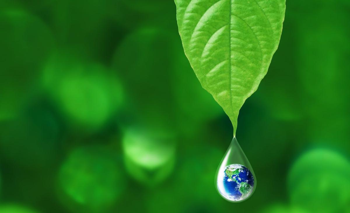 Environmental tipping points are not predictable