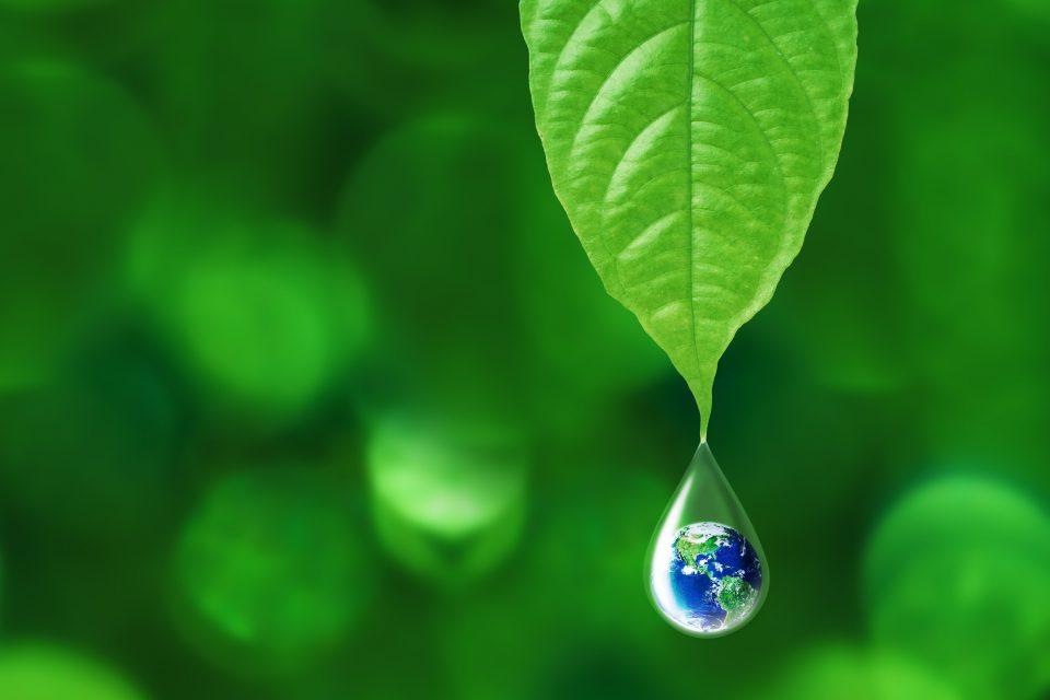 Environmental tipping points are not predictable