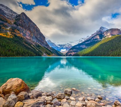 shutterstock_523880371.jpg