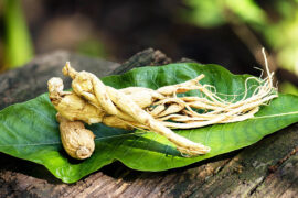 Ginseng,Or,Panax,Ginseng,On,An,Old,Wood,Background.