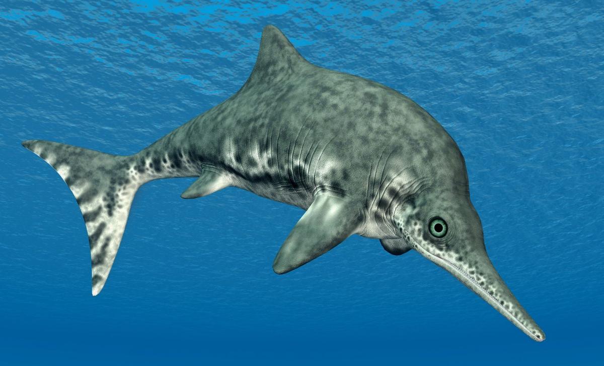 Ancient ichthyosaur died right after devouring large reptile 