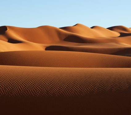 shutterstock_586549253.jpg