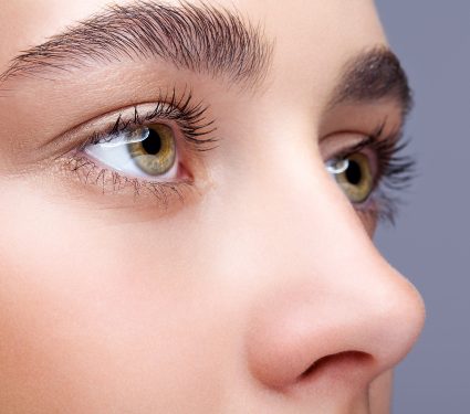shutterstock_524292463.jpg