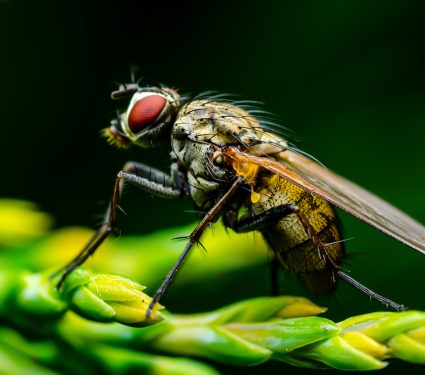 shutterstock_1556865365.jpg