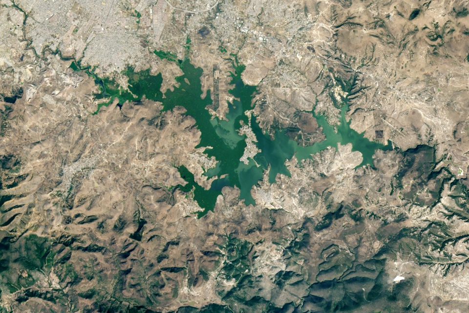 Water hyacinths have invaded the Valsequillo reservoir