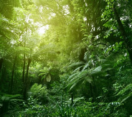 shutterstock_11891386542.jpg