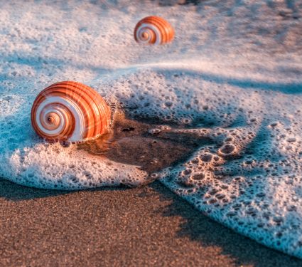 shutterstock_17691505102.jpg