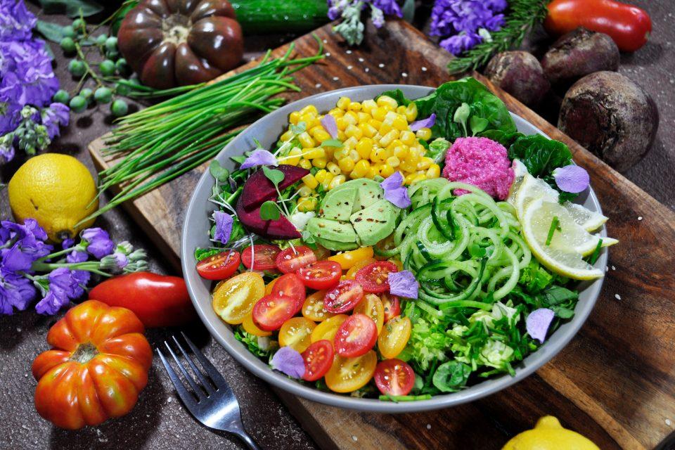 Major shift to plant-based food could offset years of CO2 emissions