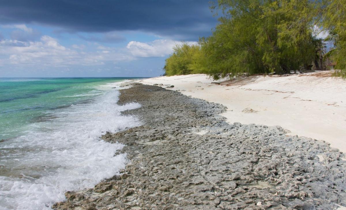 Removing plastic waste from Aldabra Atoll would cost 4.68 million dollars