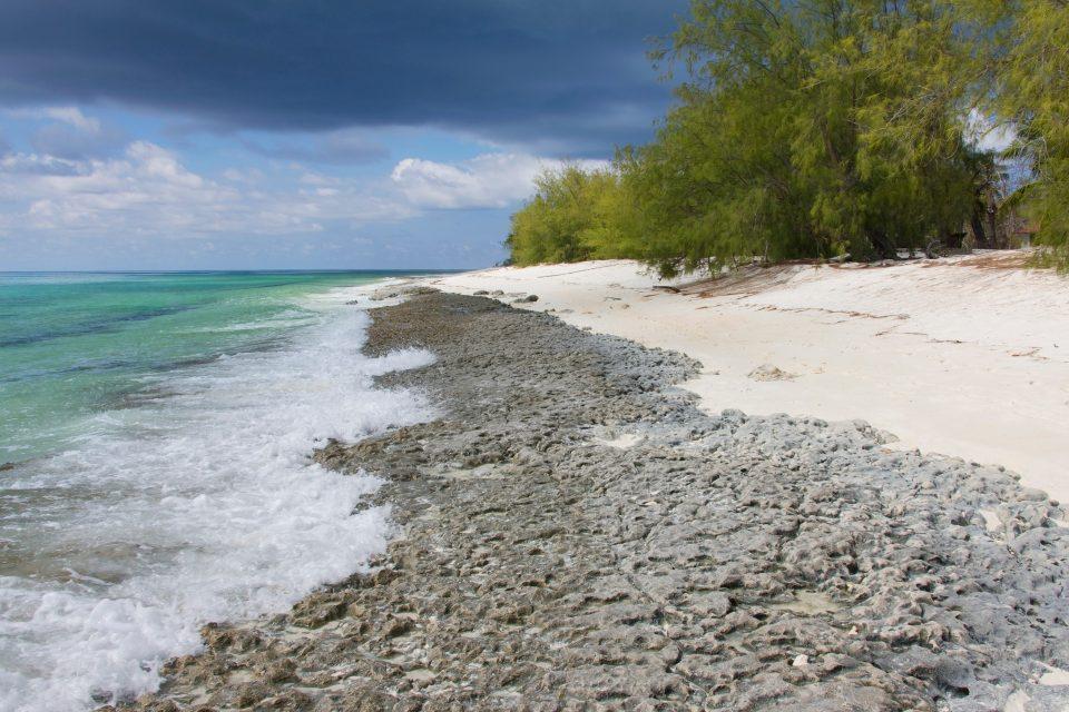 Removing plastic waste from Aldabra Atoll would cost 4.68 million dollars