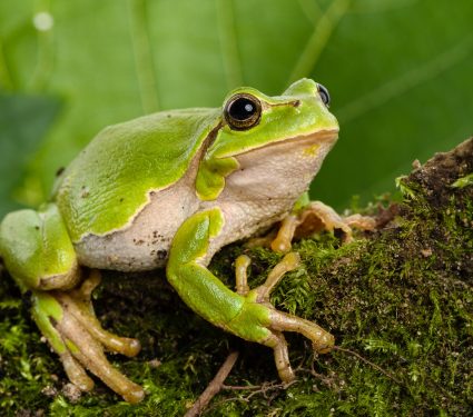 shutterstock_3344000482.jpg