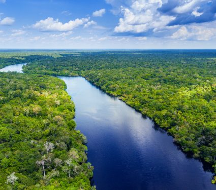 shutterstock_12923109162.jpg